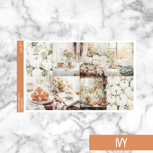 Ivy || Weekly Kit