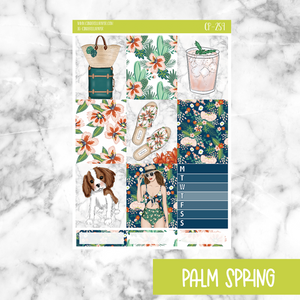 Palm Spring || Weekly Kit