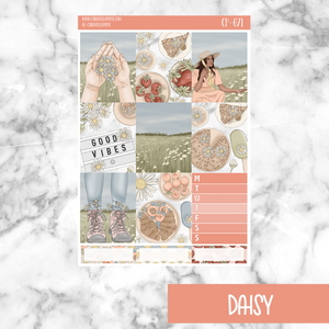 Daisy || Weekly Kit